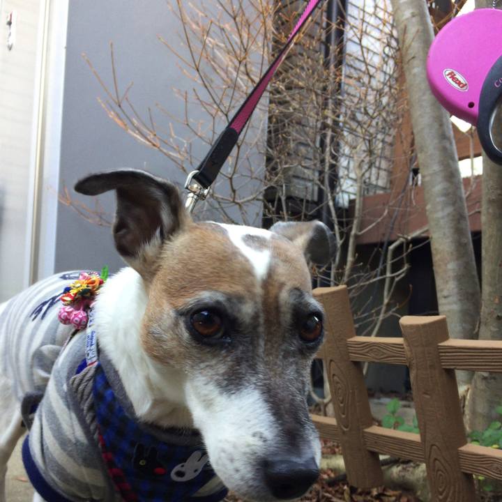 D6460b42 5f89 4158 a62f 66361241067c