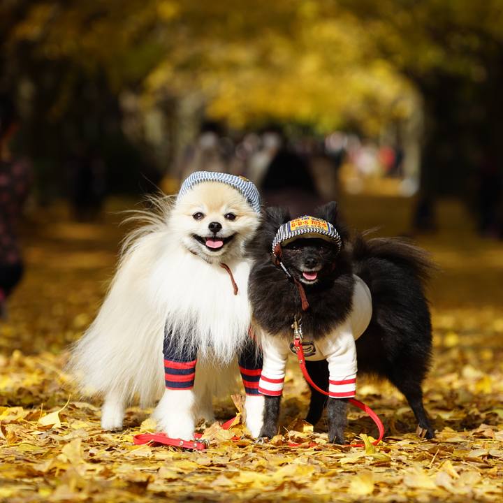 D646c7aa 3b3c 4864 b139 05b207ab2549