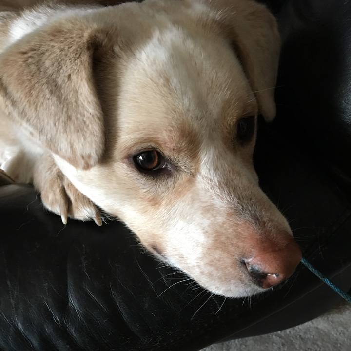 D646f884 9666 4b12 9144 150819571097