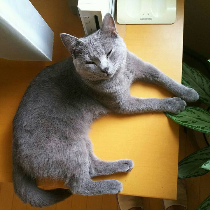 D6485731 7cf9 499f b7fb 93713e80aaed