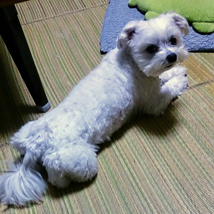 D6486f2a 9ba6 4bac 98b8 e0227b79b93b