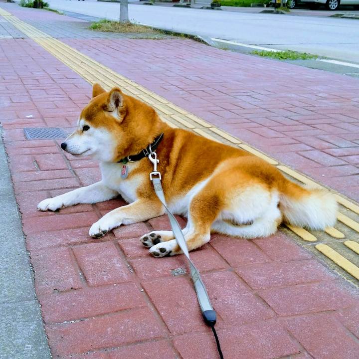 D6489964 a691 4013 b814 111ad44f819d