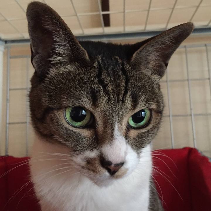 D6490250 6fdf 4eaa 9795 c606c1fcc8bf