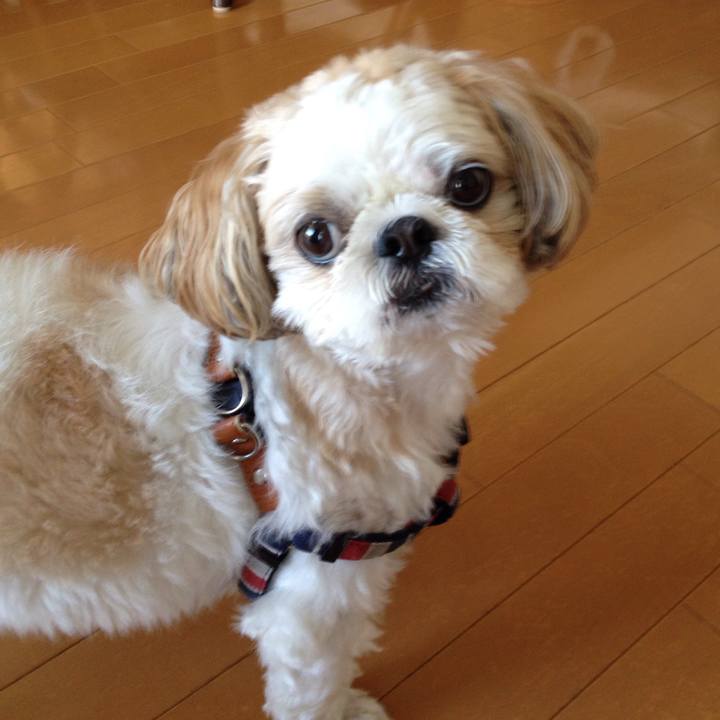 D6494253 bc3a 4e64 b768 92d55202ef7a