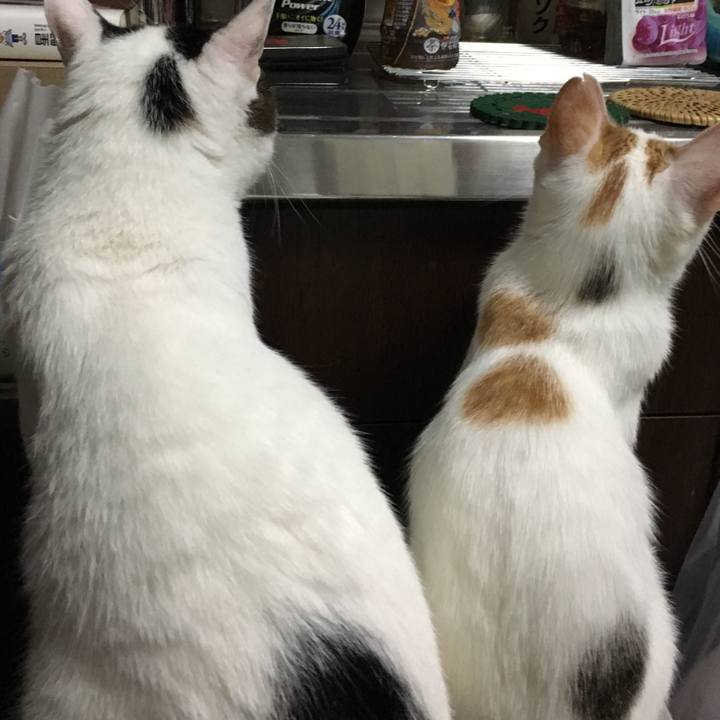 D649843b 6d38 474e ac0b 006dc668967e