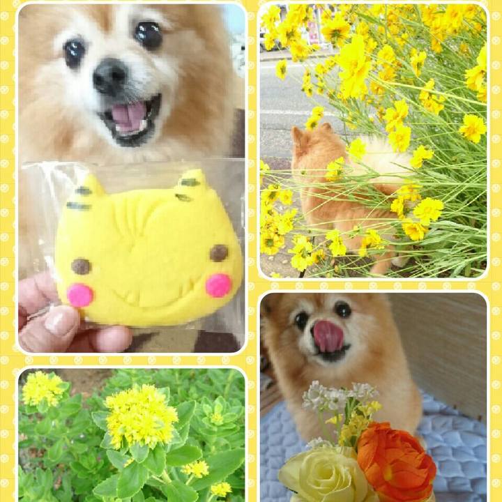 D6499203 7c55 4238 91f2 5bdaa853c895