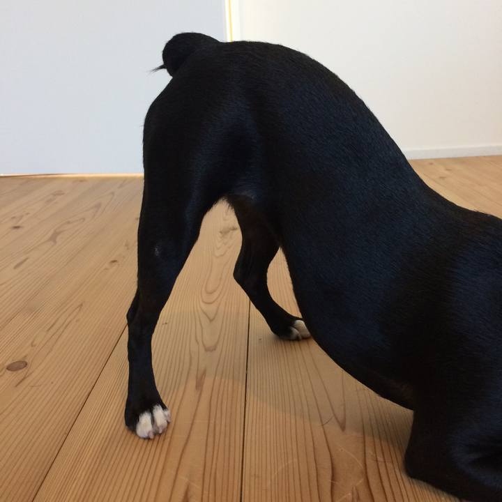 D649d132 58dc 4a1d 954c 7ce6187613a6