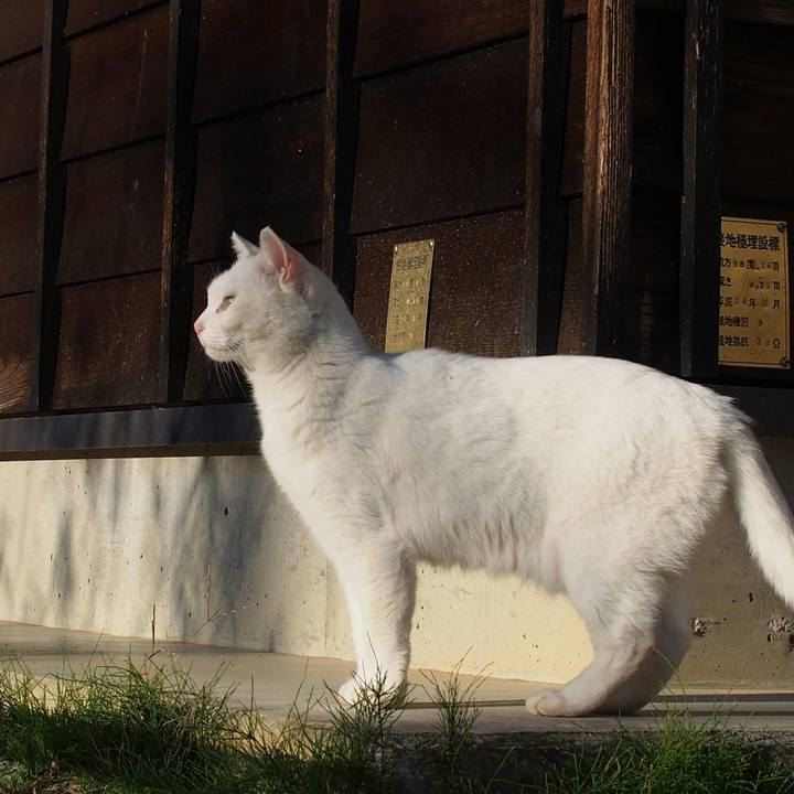 D64a6e48 f831 4a01 8e42 89c0cc62a0e0