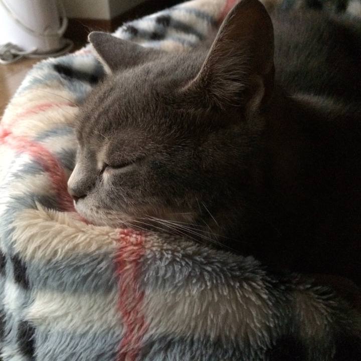 D64ab1ce cbd7 46ca a70c beeaf3930e89