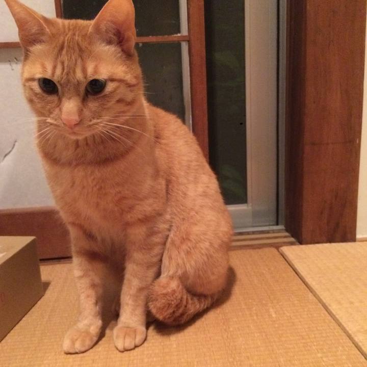 D64b0792 112a 4fd6 adc6 cd836fcc096f