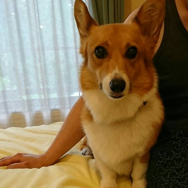 D64b36f5 085f 452f 8f07 ef45ad20ed7c