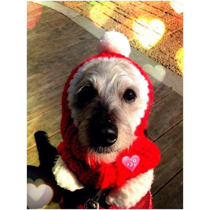 D64b4f1a 8d1a 42b0 b30b 945355b020c4