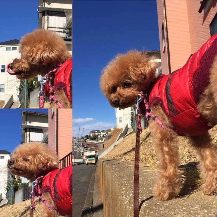 D64b5286 1da6 4d77 b309 d1dae1b7f89f