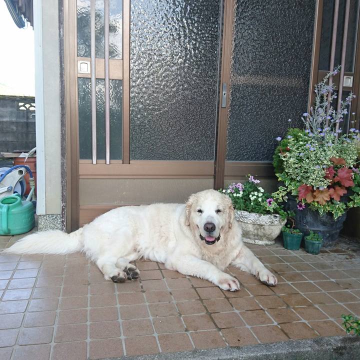 D64bd1a3 dbba 4923 8d11 3bcd6c6b73f5