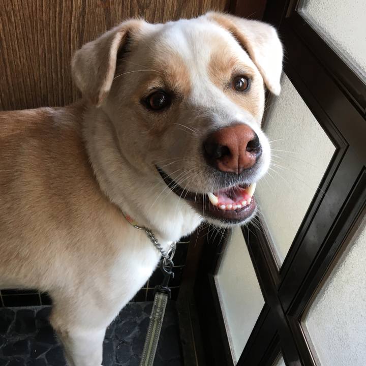 D64c09f6 445e 411a 8669 df580ce07d4e