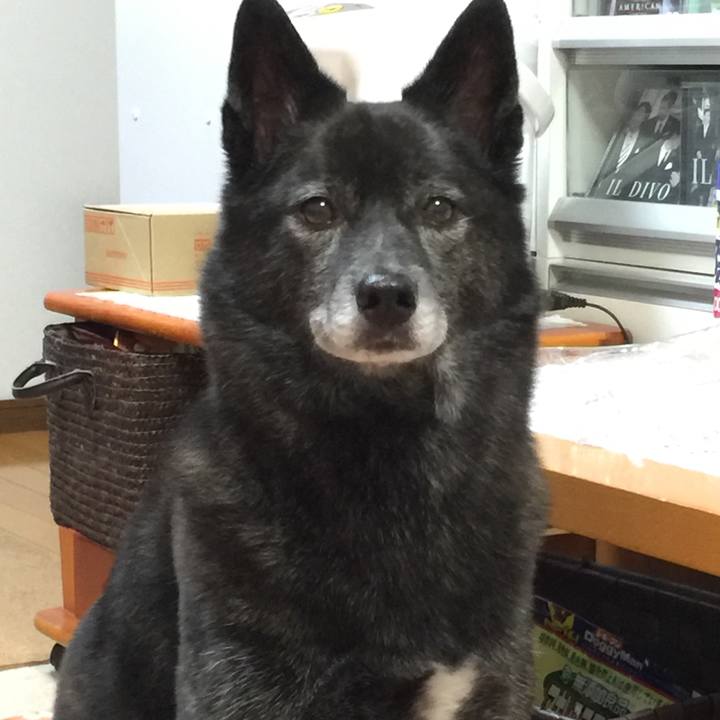 D64c0f00 b202 442d a2e2 64ca4b132f1f