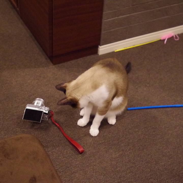 D64c2588 c84a 4993 9553 e5b19362d309