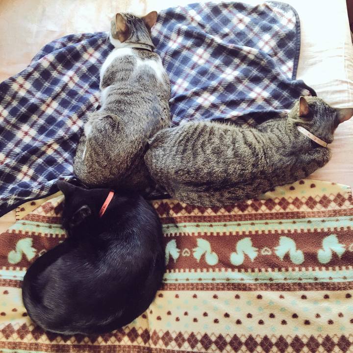 D64db6c5 f2f9 4301 8749 34fcd6aebf9d