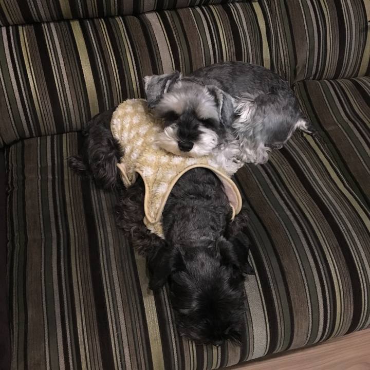 D64df74c b98b 4894 a130 0e789e2caa49