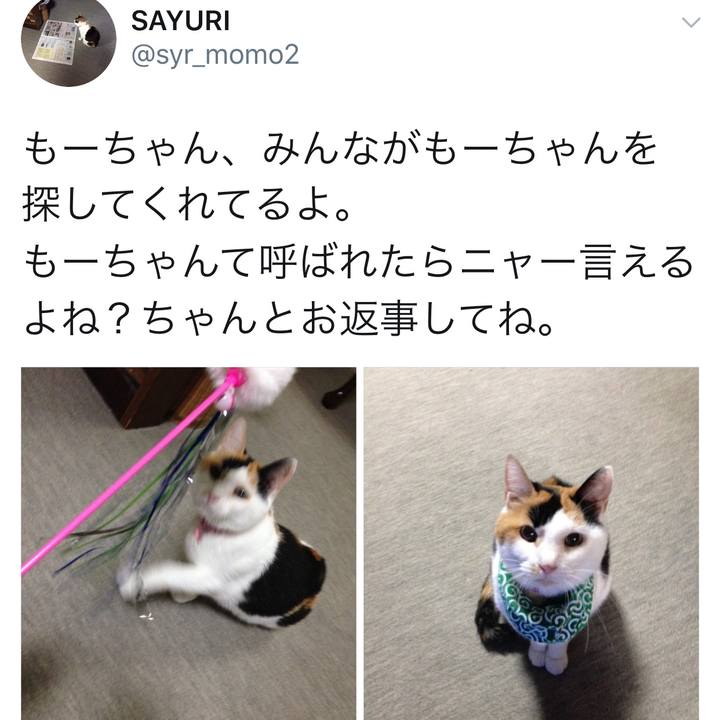 D64e14df bf36 4f43 90fc 52ddd53139f9