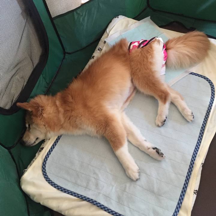 D64e5413 20d6 45cb bdcc 143952774203