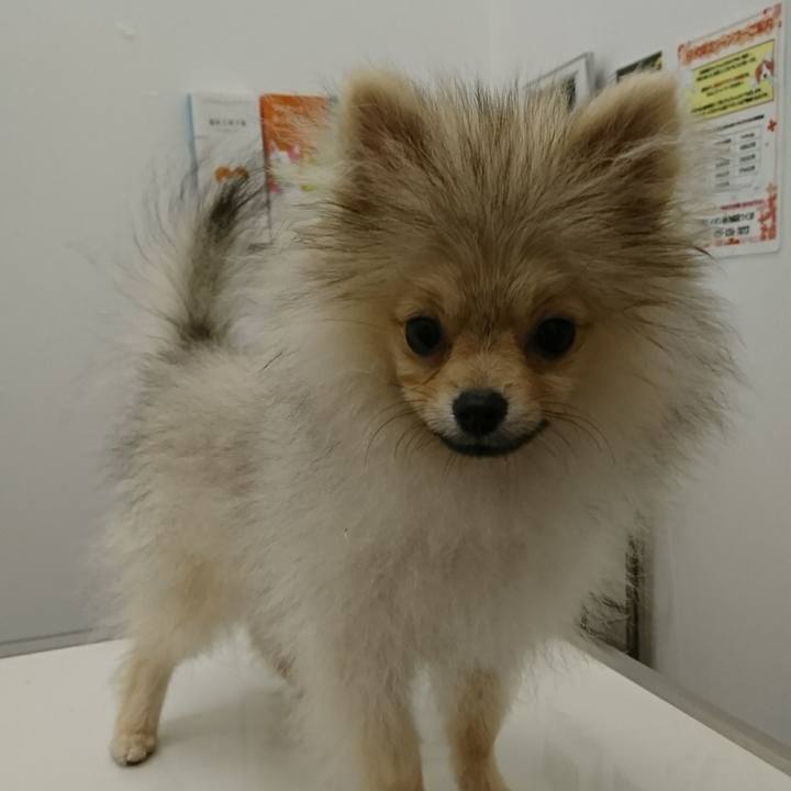 D64e91da 18fc 4530 9d2a ccf6d578854a