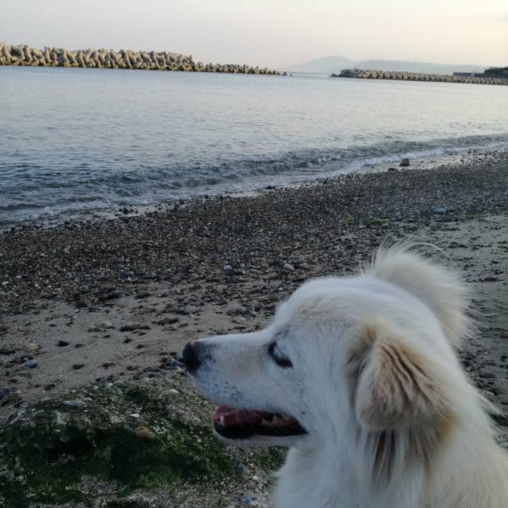 D64e9374 d55c 4a1d b38c a10522eec53d