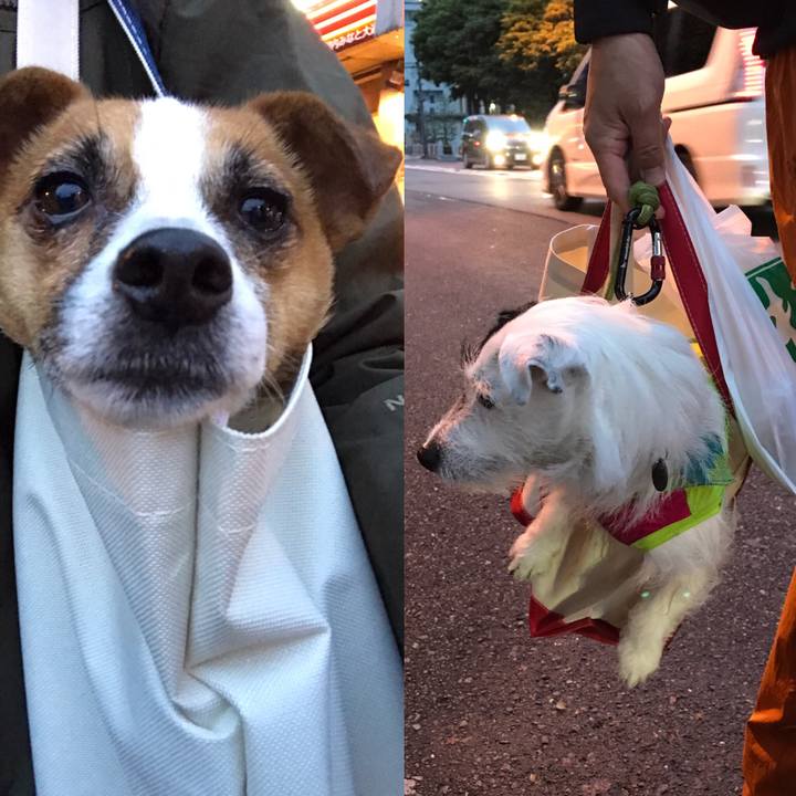 D64ec478 0d2b 487c a1f9 0e9dc1e18625