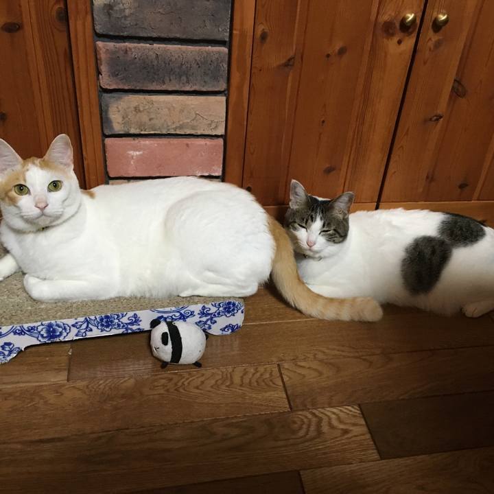 D64f8f2d b1ea 4e91 8389 a660d12e4fc5