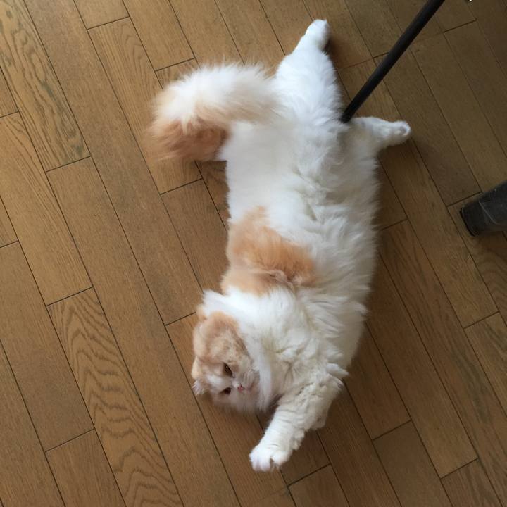 D64fa463 3ba7 48c4 b813 783d03d4a5ff