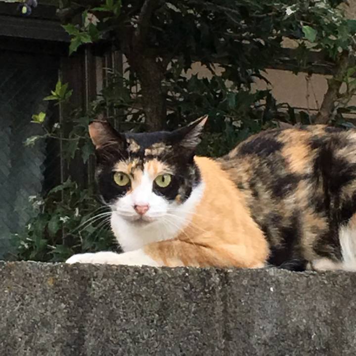 D64fc343 d35c 4eac 85fd b01bf59677cd