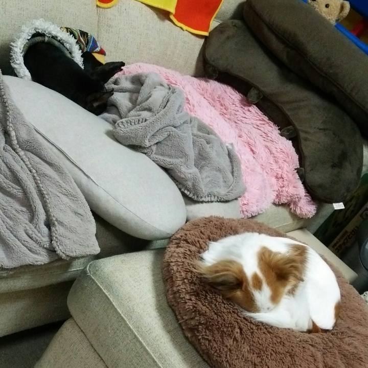 D64fc54b d4bc 4826 ba96 180bfc7e8adb