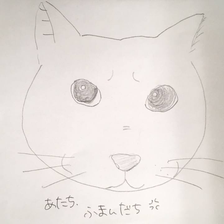 D65033c6 36ca 4f74 bd84 0e7468afc58b