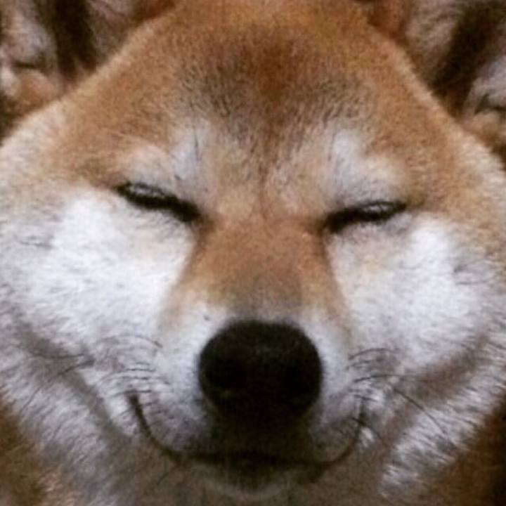 D6503860 d7b4 49d1 86cf 6175f00383d9