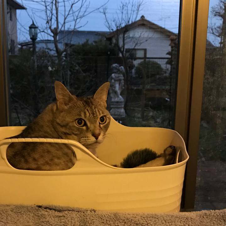 D6507436 ba61 48a5 af74 07742db1c021