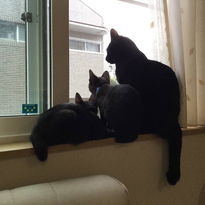 D650833e 0392 4385 9db3 2ced88a3d9da