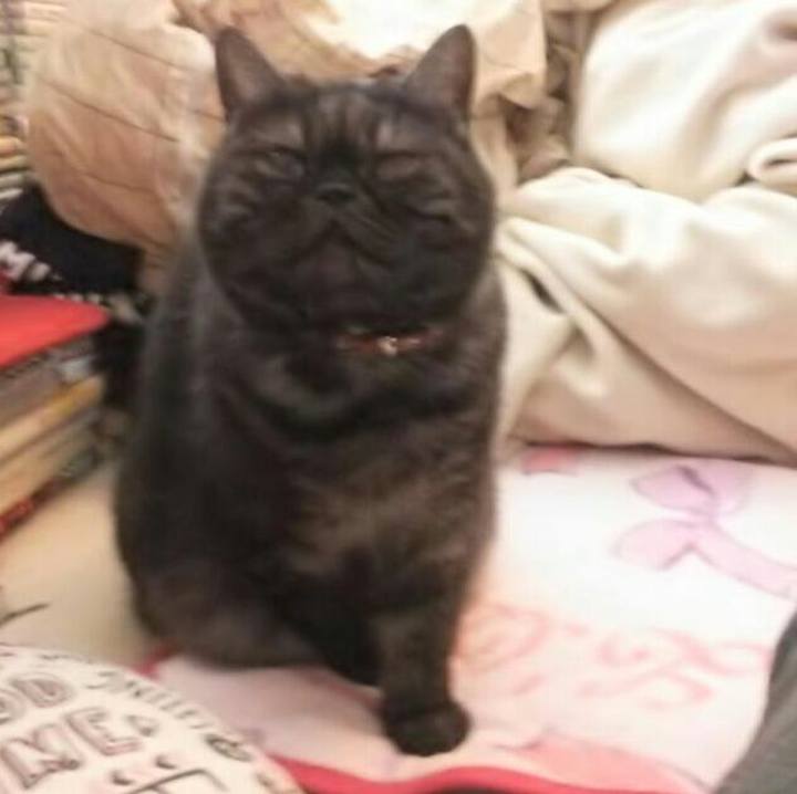 D650f15a 762e 43ab 89e3 6710de3d7ceb