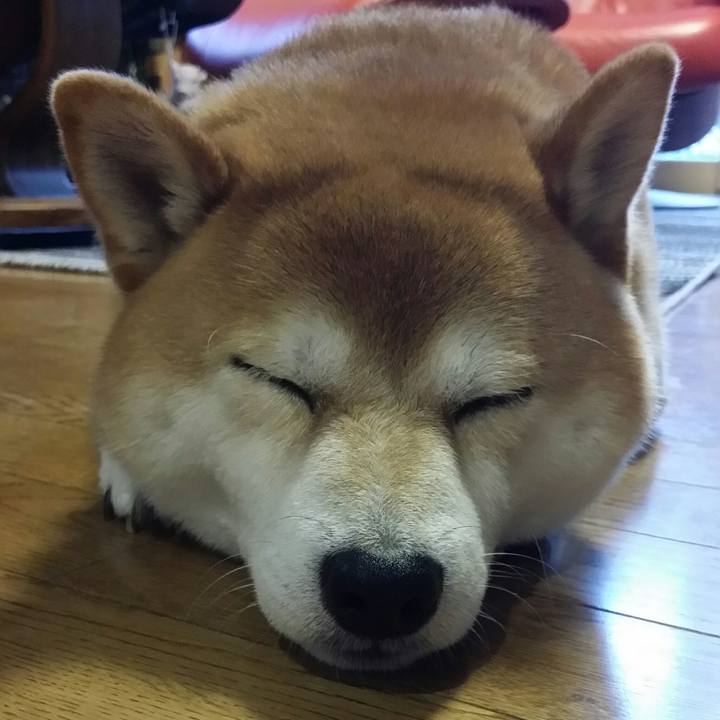 D651663d a8f8 4625 b6f6 168cd53a4a25