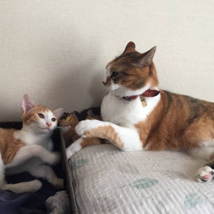 D651cd5d 4a83 42ef a91d f0d00288fd0a