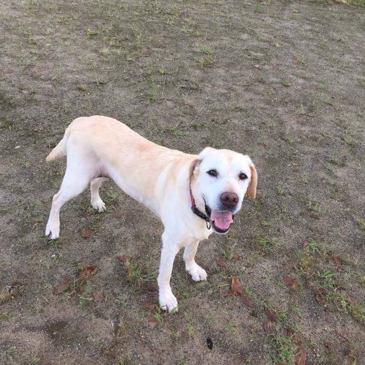 D652911a 46cf 404f 8b12 4eb300ef23a5