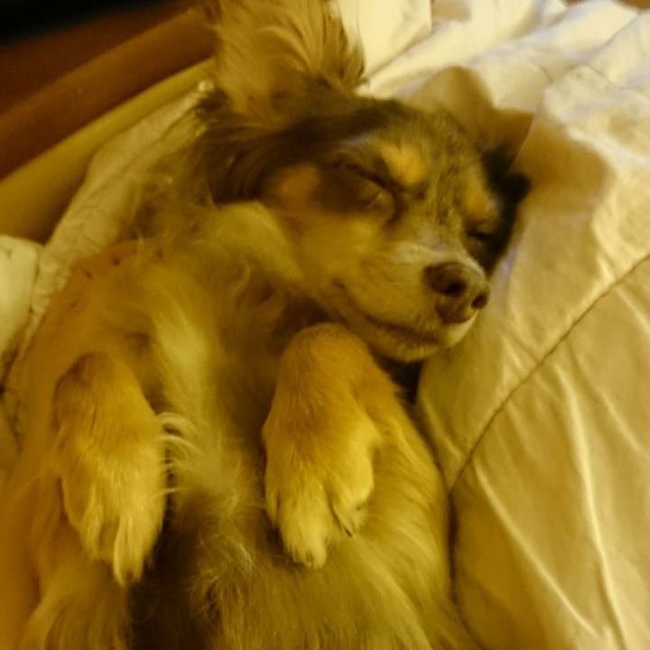 D6532977 d36f 48da 84c6 bb55931bfa94