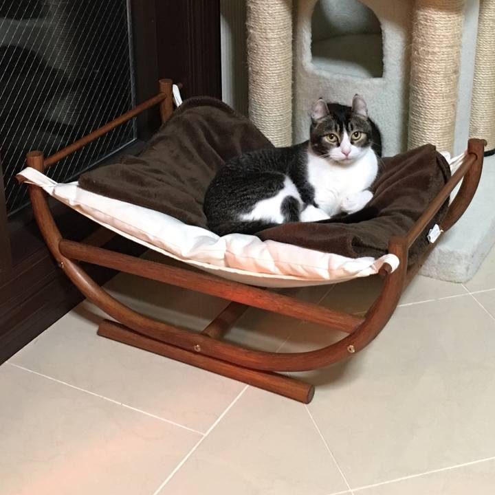 D6541a58 1702 47f7 8138 1f659107bbb8