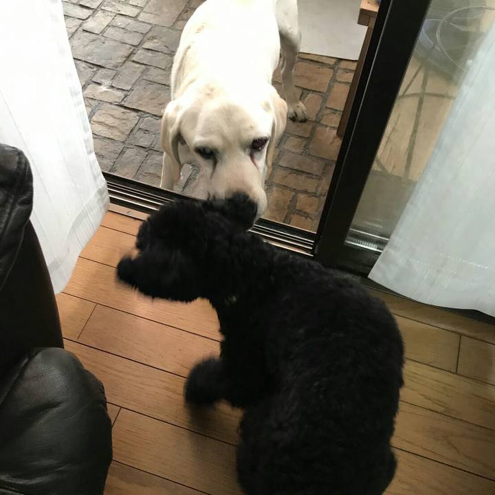 D654aa86 ddcc 49b0 a1d1 e4f3ed356e20