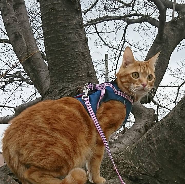 D654e0a5 992a 4fa2 9c9e bb1a42116aa4