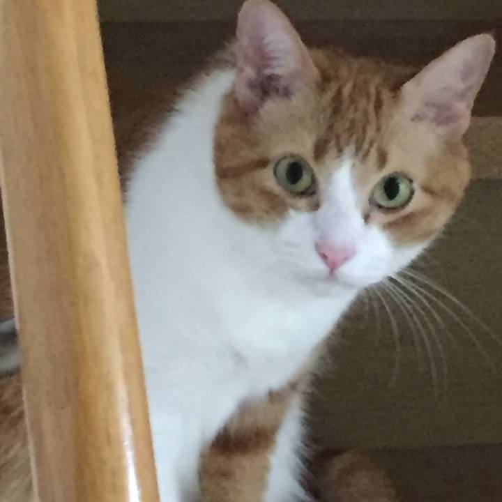 D654e7f5 e286 48aa affa 5b797445a743