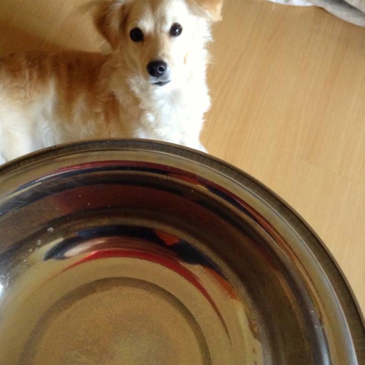 D654f9f7 a98a 47a4 9bb8 14b6dc6b922c