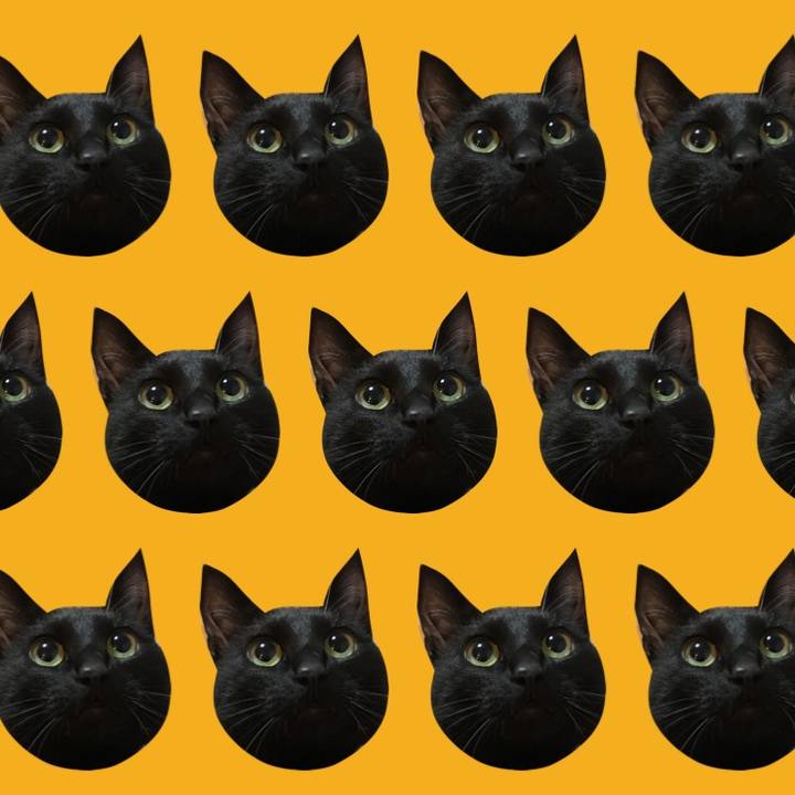 D6553917 369b 43e1 8555 6cabdfa8a426