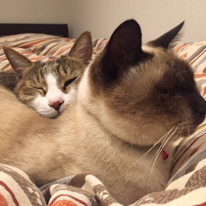 D65574c7 b380 46e8 bfae 2bd0f8d45f55