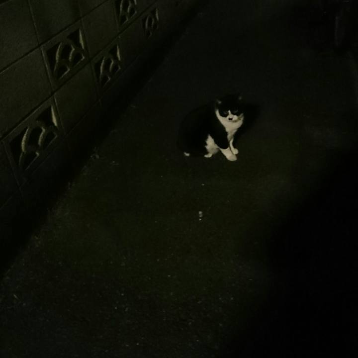 D655ce00 a1a5 4ab9 a4c2 581db4113021