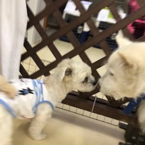 D6568e4b b7f2 4361 8a3a 6c1e10de5e1c